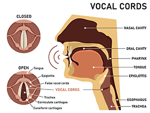 Laryngology Voice Dysfunction